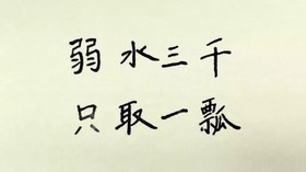 弱水三千只取一瓢 弱水三千只取一瓢
