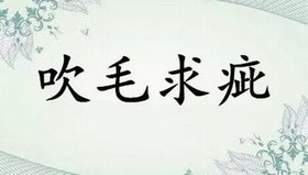 吹毛求疵(成语) 吹毛求疵(成语)