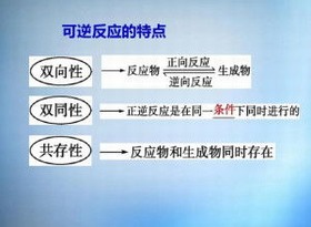 逆反应方向 逆反应方向