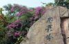 白云山（广东省广州市白云山）